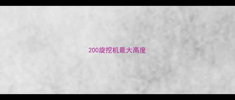 图片 200旋挖机最大高度