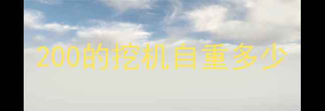 图片 200的挖机自重多少