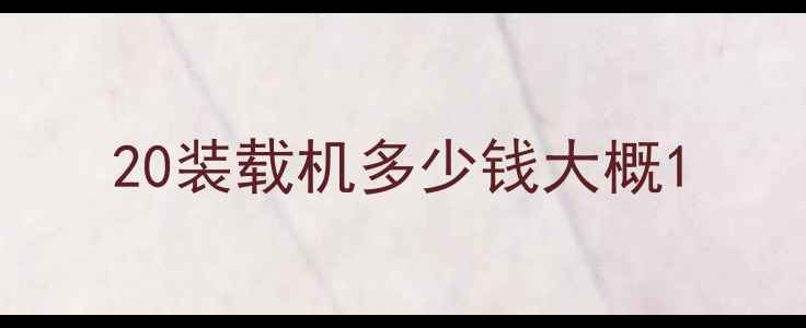 图片 20装载机多少钱大概1