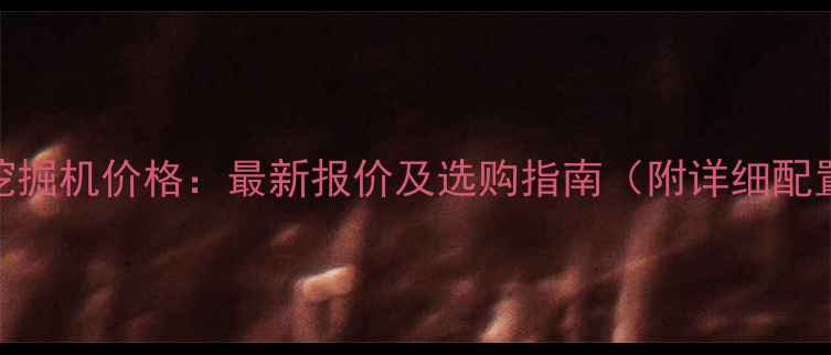 图片 220斗山挖掘机价格：最新报价及选购指南（附详细配置对比）1