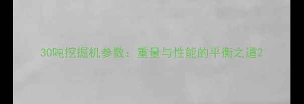 图片 30吨挖掘机参数：重量与性能的平衡之道2