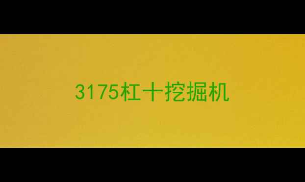 图片 3175杠十挖掘机