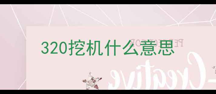 图片 320挖机什么意思