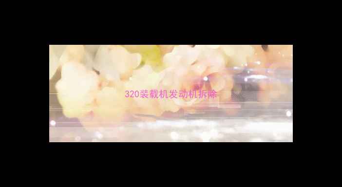 图片 320装载机发动机拆除