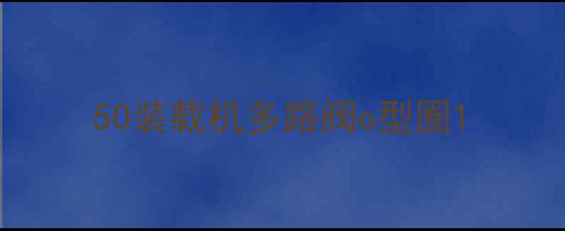 图片 50装载机多路阀o型圈1