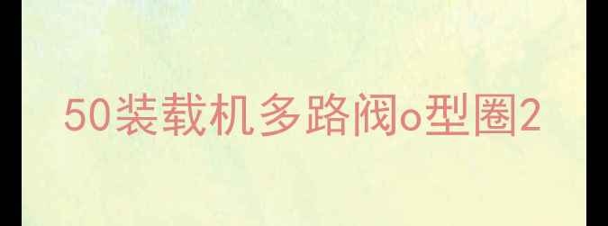 图片 50装载机多路阀o型圈2