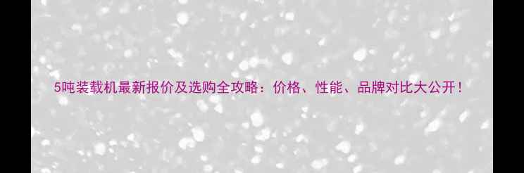 图片 5吨装载机最新报价及选购全攻略：价格、性能、品牌对比大公开！