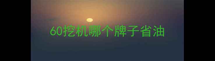 图片 60挖机哪个牌子省油