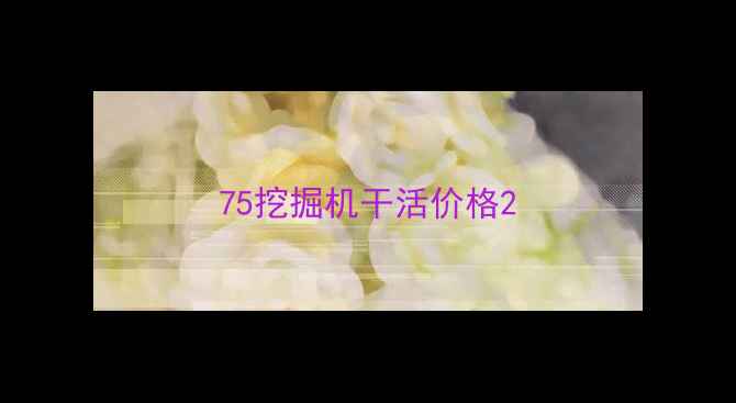 图片 75挖掘机干活价格2