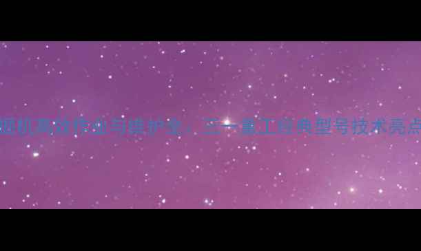 图片 EX200-3型挖掘机高效作业与维护全：三一重工经典型号技术亮点与应用指南1