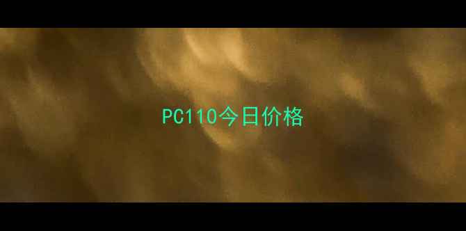 图片 PC110今日价格