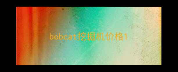 图片 bobcat挖掘机价格1