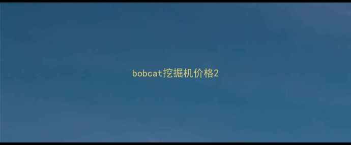 图片 bobcat挖掘机价格2