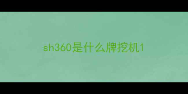 图片 sh360是什么牌挖机1