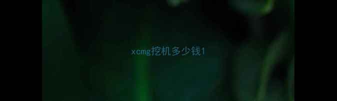 图片 xcmg挖机多少钱1