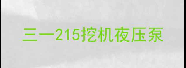 图片 三一215挖机夜压泵