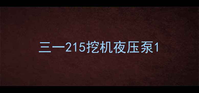 图片 三一215挖机夜压泵1