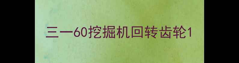 图片 三一60挖掘机回转齿轮1