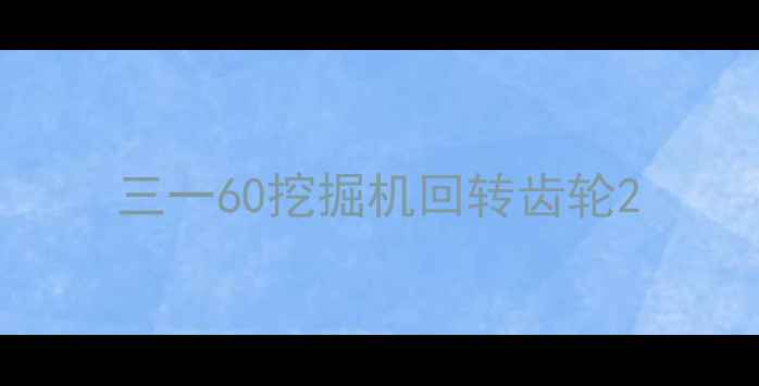图片 三一60挖掘机回转齿轮2