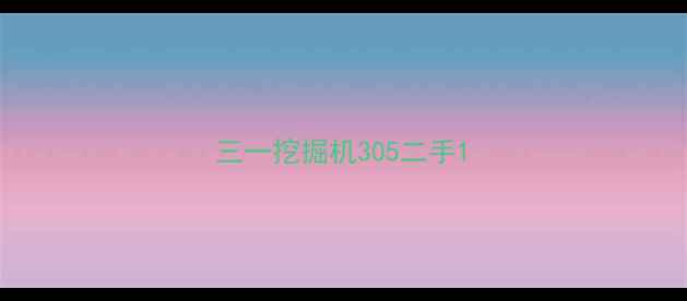 图片 三一挖掘机305二手1