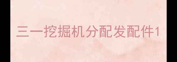 图片 三一挖掘机分配发配件1