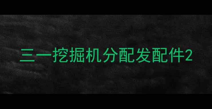 图片 三一挖掘机分配发配件2
