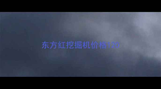 图片 东方红挖掘机价格120