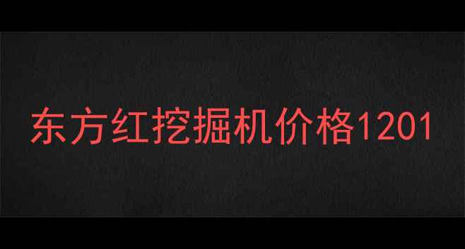 图片 东方红挖掘机价格1201