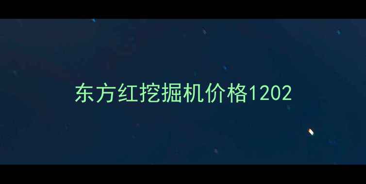 图片 东方红挖掘机价格1202