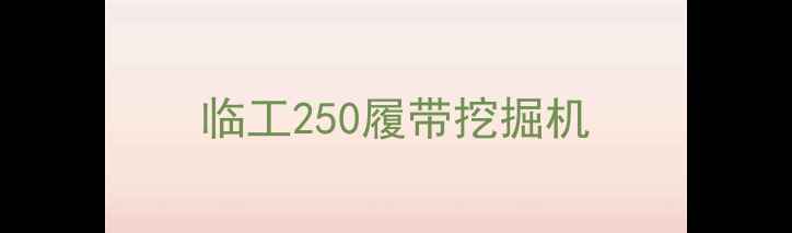 图片 临工250履带挖掘机