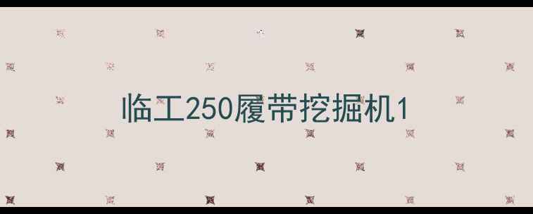 图片 临工250履带挖掘机1