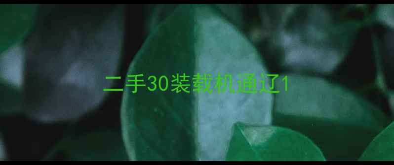 图片 二手30装载机通辽1