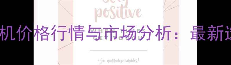 图片 二手挖掘机价格行情与市场分析：最新选购指南1