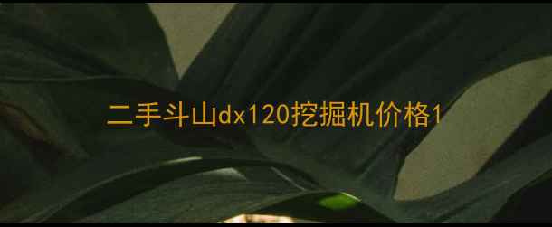 图片 二手斗山dx120挖掘机价格1