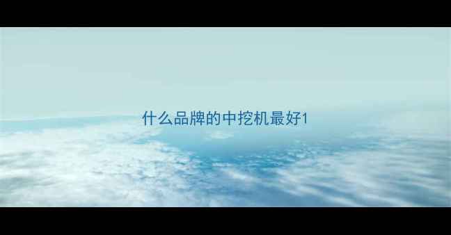 图片 什么品牌的中挖机最好1