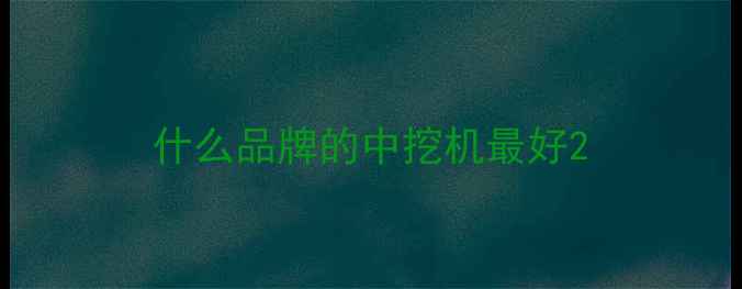 图片 什么品牌的中挖机最好2
