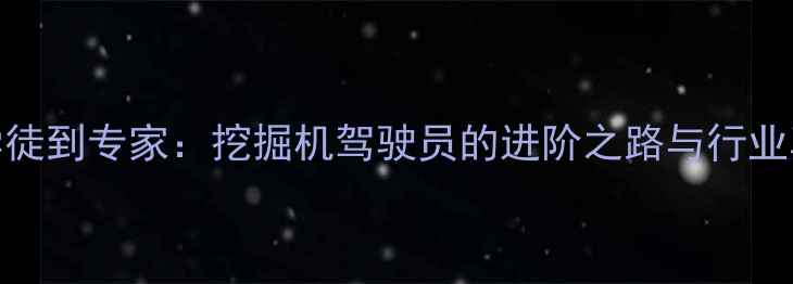 图片 从学徒到专家：挖掘机驾驶员的进阶之路与行业真相