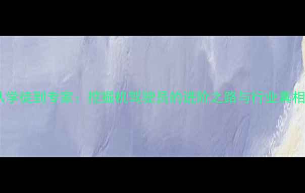 图片 从学徒到专家：挖掘机驾驶员的进阶之路与行业真相2