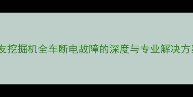 图片 住友挖掘机全车断电故障的深度与专业解决方案1