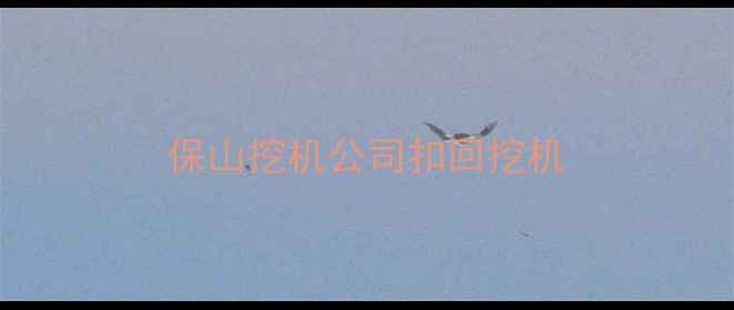 图片 保山挖机公司扣回挖机