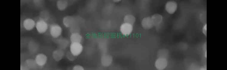 图片 全地形挖掘机et1101