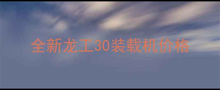 图片 全新龙工30装载机价格