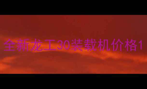 图片 全新龙工30装载机价格1