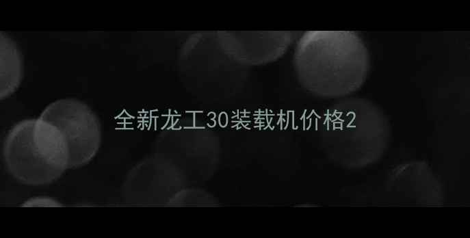 图片 全新龙工30装载机价格2
