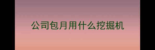图片 公司包月用什么挖掘机