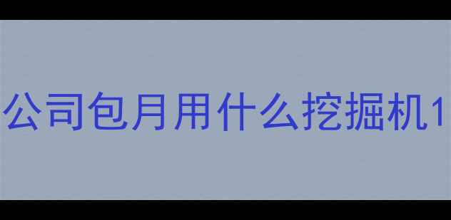 图片 公司包月用什么挖掘机1
