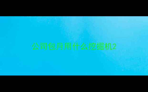 图片 公司包月用什么挖掘机2