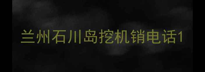 图片 兰州石川岛挖机销电话1