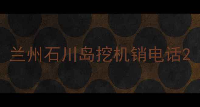 图片 兰州石川岛挖机销电话2