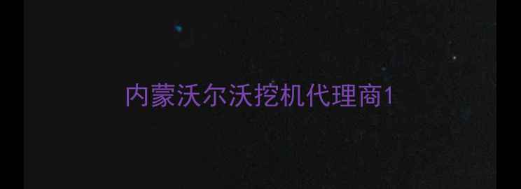 图片 内蒙沃尔沃挖机代理商1